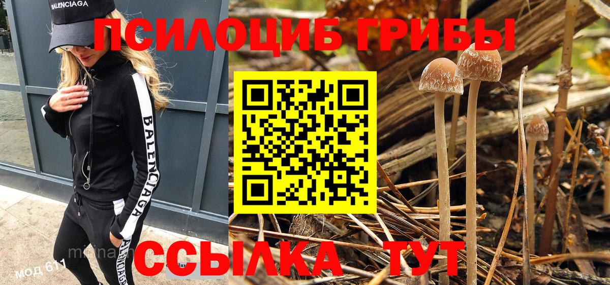 хочу   Галлюциногенные грибы Cubensis  Вход с VPN  Славянск-на-Кубани 